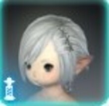 サイオンズアークの画像