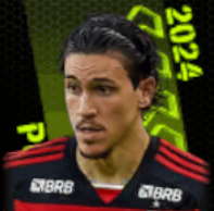 TPペドロ(12/23)画像