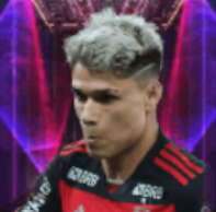 HPルイスアラウージョ(12/23)画像