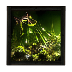 トキシックグロース Image