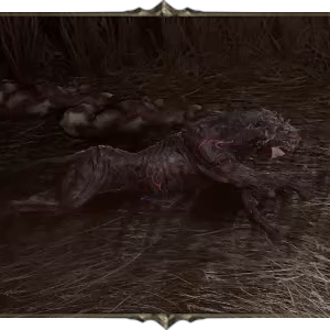 Path of Exile 2 - ヴァルギル・ザ・フェラル・マット
 第1章 Boss