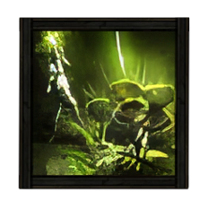 ヴァインアロー Image