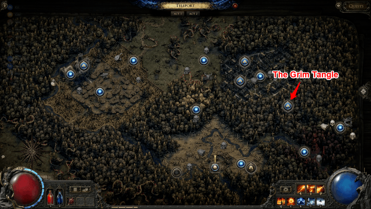 菌類で満たされたエリア