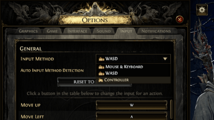 POE 2 - Input options