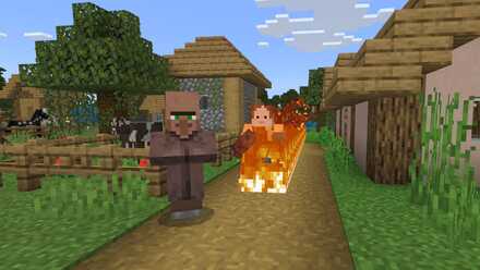 溶岩チキンアドオン