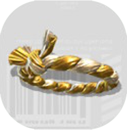 ねじりゴージャス画像