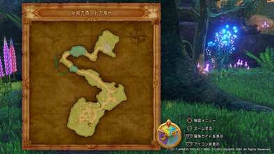 ゾンナルの樹の枝の場所画像