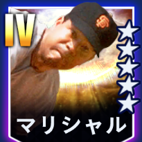 マリシャル画像