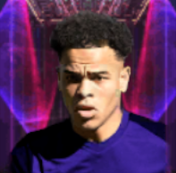 HPマリオストルイケンス(12/26)画像