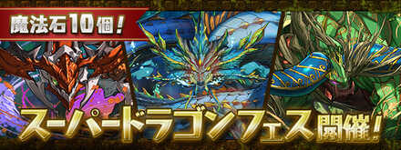 スーパードラゴンフェス