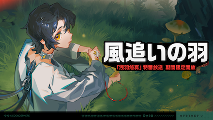 風追いの羽画像