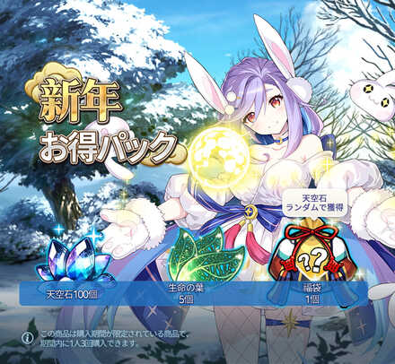 新年お得パック