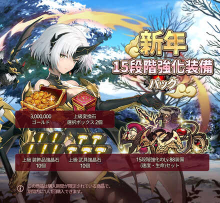 新年15段階強化装備パック