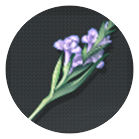 ソードアコーラス