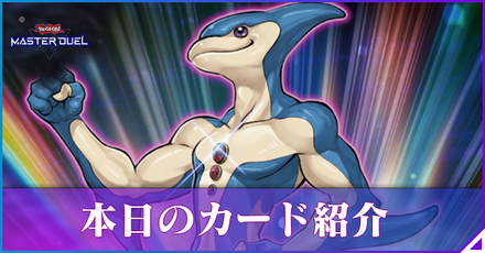本日のカード紹介