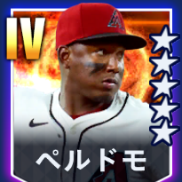 ペルドモ画像