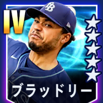 ブラッドリー画像