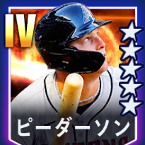 ピーダーソン画像