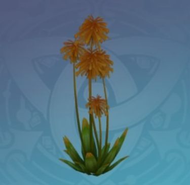 「満腹の炎」の画像