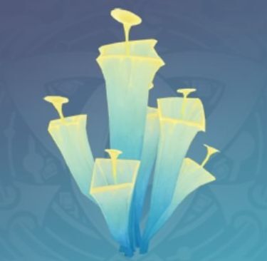 「暗光キノコ」の画像