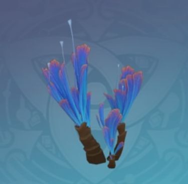 「波の息」の画像