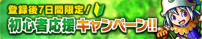 初心者応援キャンペーン!!