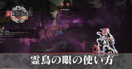 霊鳥の眼の使い方