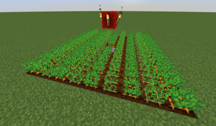 交互に作物を植える