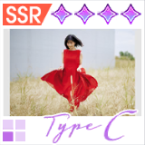 【2025年1月ダイアリーコレクション】TypeCの画像