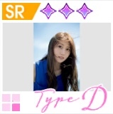 【2025年1月プチコレクション】TypeDの画像