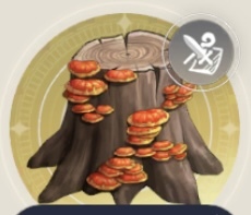 キノコヤドシの画像