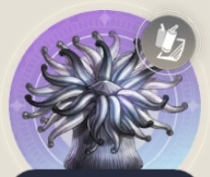 石ギンチャクの画像