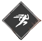 飛龍回進槍画像