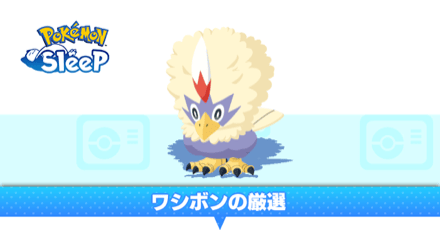 ワシボンの厳選