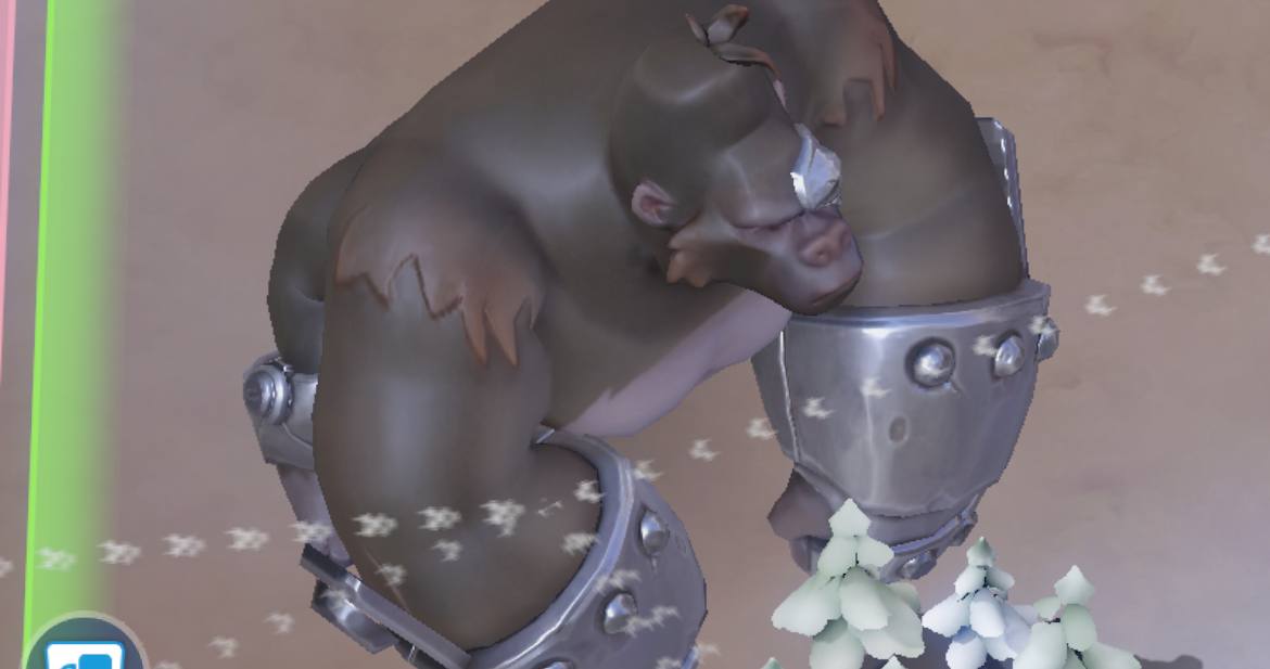 ダメージレース