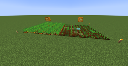 畑に光源を配置する