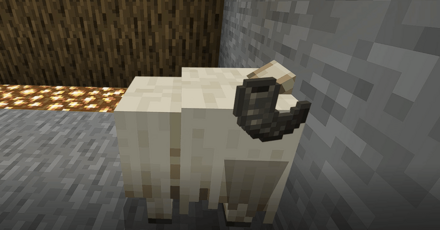 ヤギを壁にぶつける