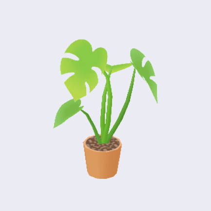 モンステラの画像