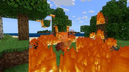 溶岩チキン食べる