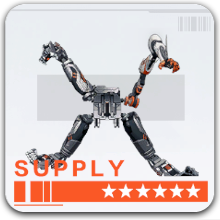 撃極明王の画像