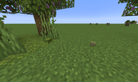 ツツジと開花したツツジが落ちる