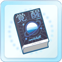 ノクチル覚醒ブック(大)