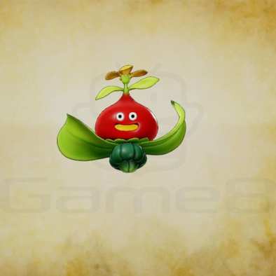 トマトマーレの画像