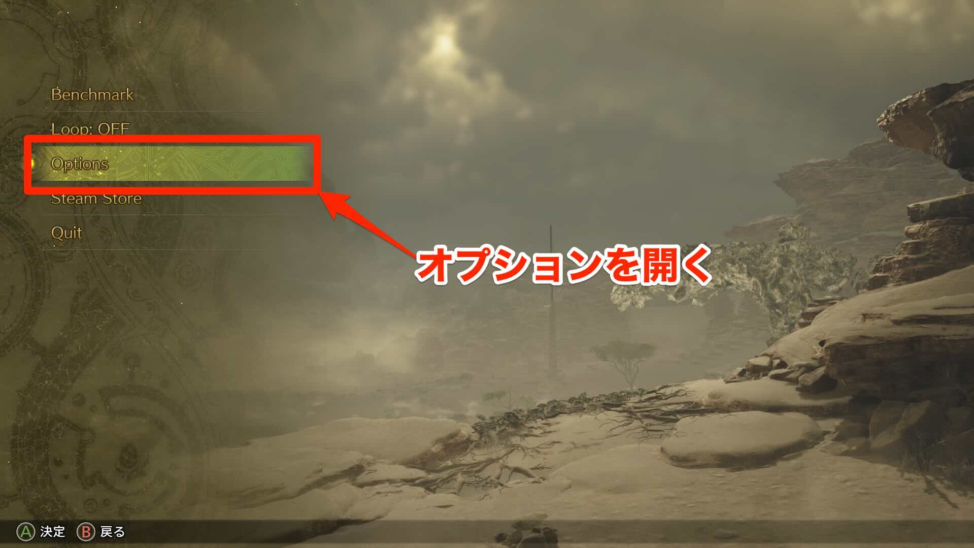 オプション開く