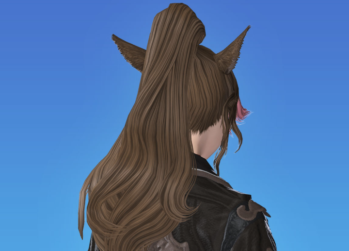 編込ポニーテール後ろ