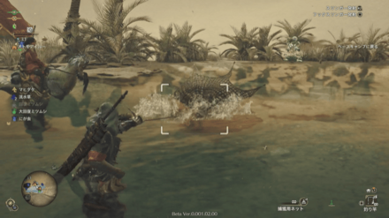 捕獲用ネットで捕まえる