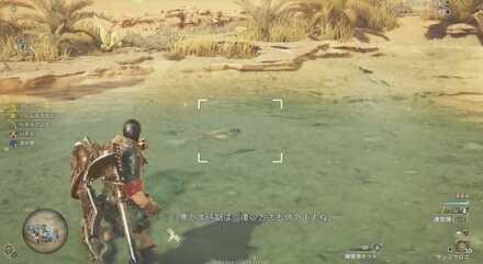 捕獲用ネットで捕まえる