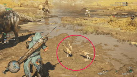 カザキリカケリの効果と使い方