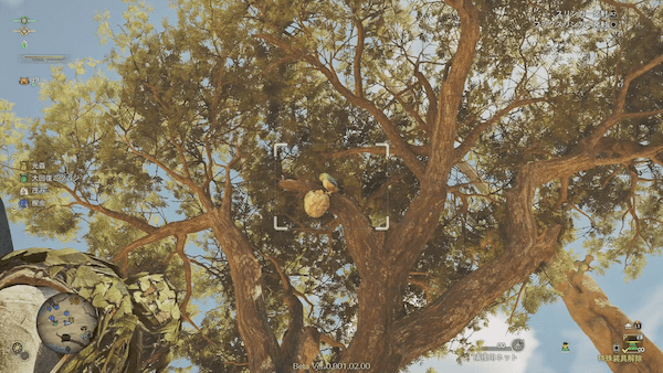 木に止まっている瞬間を狙おう