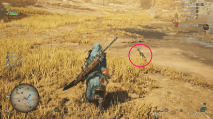 クロカゼカケリ